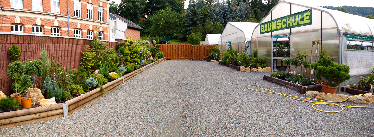 g-rtnerei-gew-chshaus-blumen-jpg