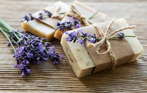 AdobeStock_370176194.jpg