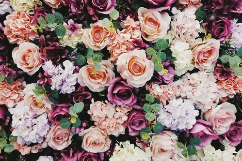 AdobeStock_320226096.jpg